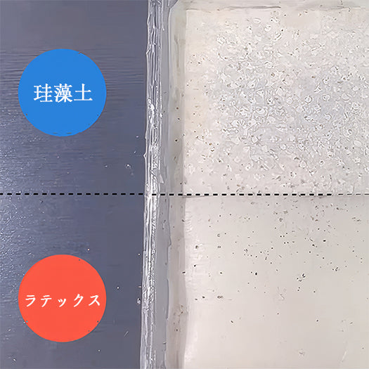 ▸珪藻土 vs ラテックス:ダニ防止効果比較試験